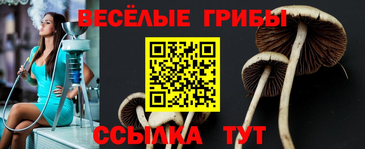 Псилоцибиновые грибы GOLDEN TEACHER  купить   Вятские Поляны  Галлюциногенные грибы Psilocybe  Вход с VPN 